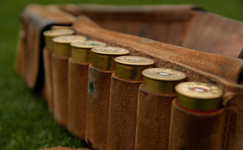 Find ammunition, der passer til dit våben og dagens plan